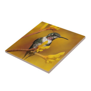 Azulejo De Cerâmica Ouro brilhante