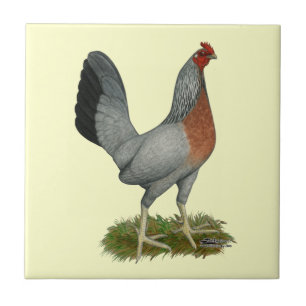 Azulejo De Cerâmica Ouro Duckwing Hen