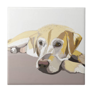 Azulejo De Cerâmica Ouro Labrador