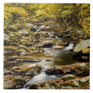 Azulejo De Cerâmica Outono em Big Creek