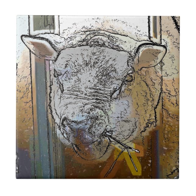 AZULEJO DE CERÂMICA  OVINO (Frente)