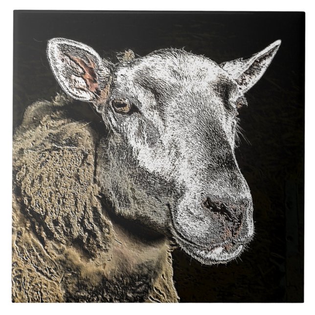 AZULEJO DE CERÂMICA  OVINO (Frente)