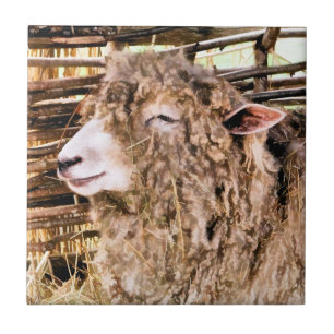 AZULEJO DE CERÂMICA  OVINO DE BOVINO