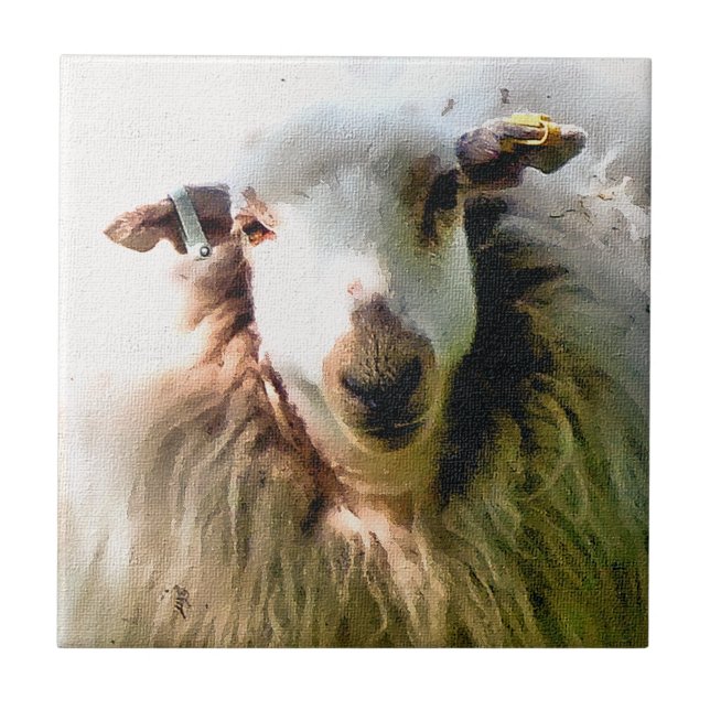 AZULEJO DE CERÂMICA  OVINO DE BOVINO (Frente)