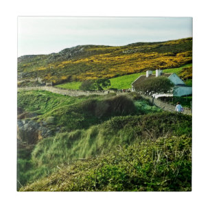 Azulejo De Cerâmica Ovinos na Irlanda
