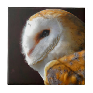 AZULEJO DE CERÂMICA  OWLS