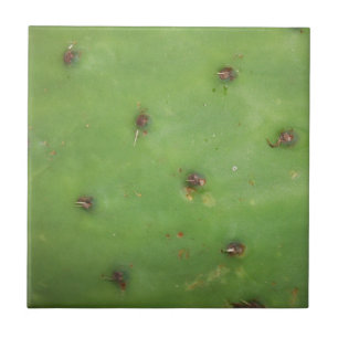 Azulejo De Cerâmica Pad de pera picante
