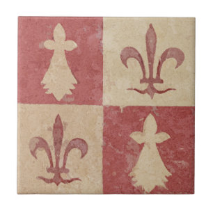 Azulejo De Cerâmica Padrão Antigo Flor de Lis Medieval Francês