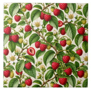 Azulejo De Cerâmica Padrão Botânico de Framboesa e Flor