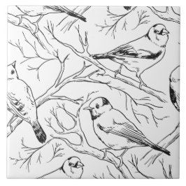 Azulejo De Cerâmica Padrão de Arte de Linha de Aves Norte-Americanas M