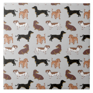 Azulejo De Cerâmica Padrão de cão Dachshund