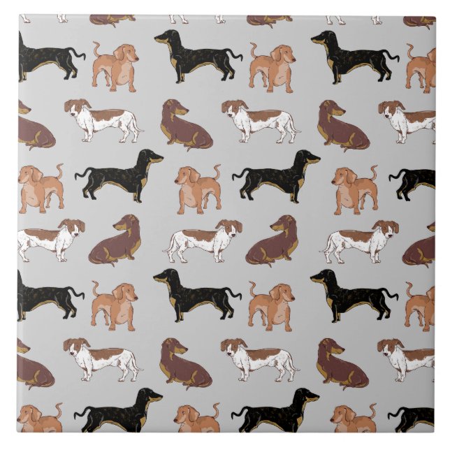 Azulejo De Cerâmica Padrão de cão Dachshund (Frente)