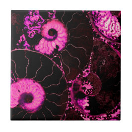 Azulejo De Cerâmica Padrão de casca fóssil Nautilus rosa