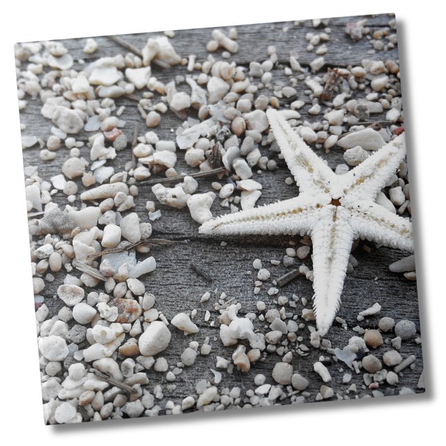 Azulejo De Cerâmica Padrão de concha marítima do oceano costeiro (Nautical White Starfish Shell Gray Sand Beach Ceramic Tile)