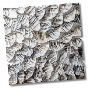Azulejo De Cerâmica Padrão de concha marítima do oceano costeiro