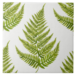 Azulejo De Cerâmica Padrão de Fern de Aquarela