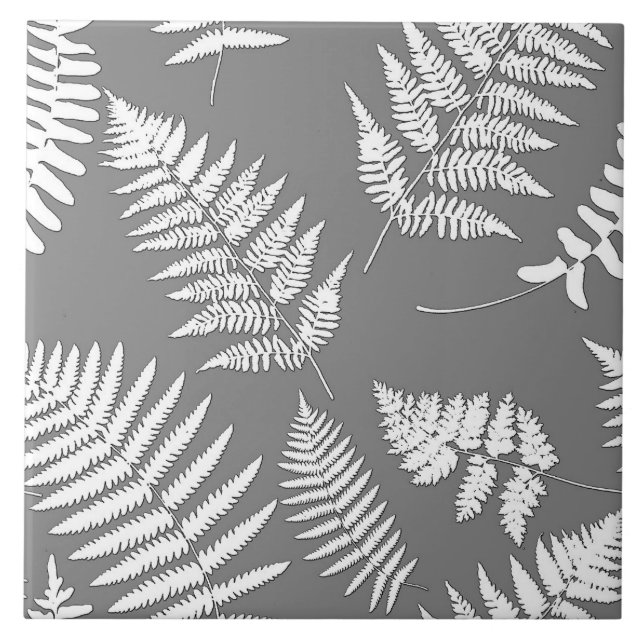 Azulejo De Cerâmica Padrão de Fern Woodland, Cinzas/Cinzas e Branco (Frente)