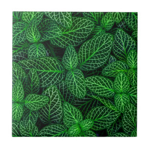 Azulejo De Cerâmica Padrão de Folha Muito Verde