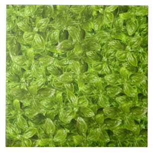 Azulejo De Cerâmica Padrão de Folhas de Basil