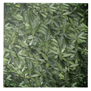 Azulejo De Cerâmica Padrão de Folhas Verde Lush - Botânica da Natureza