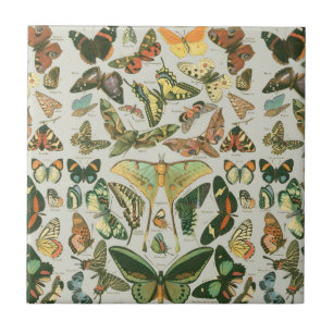 Azulejo De Cerâmica Padrão de Impressão de Borboleta Mariposa Vintage