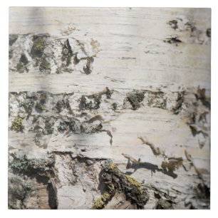 Azulejo De Cerâmica Padrão de latido de aves