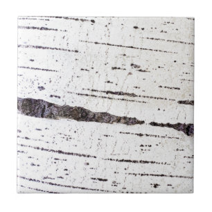 Azulejo De Cerâmica Padrão de latido de aves