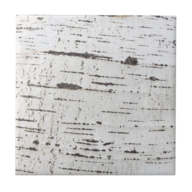 Azulejo De Cerâmica Padrão de latido de aves (Frente)