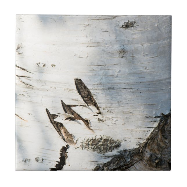 Azulejo De Cerâmica Padrão de latido de aves (Frente)