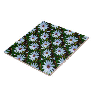 Azulejo De Cerâmica Padrão de margarida branca