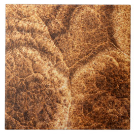 Azulejo De Cerâmica Padrão de Pedra Natural