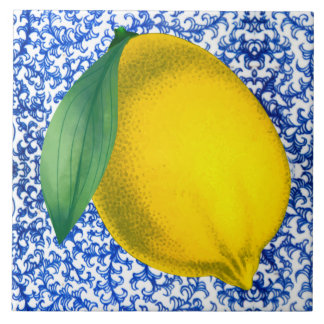 Azulejo De Cerâmica Padrão de Porcelana Branco Lemon Blue