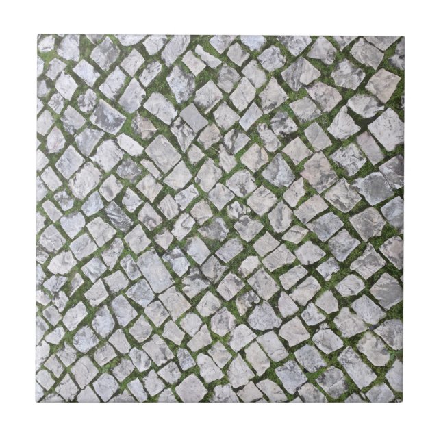 Azulejo De Cerâmica Padrão de Rocha Cobblestone Quadrado com Moisés Ve (Frente)