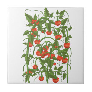 Azulejo De Cerâmica Padrão de Tomates