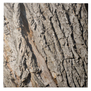 Azulejo De Cerâmica Padrão de tronco antigo