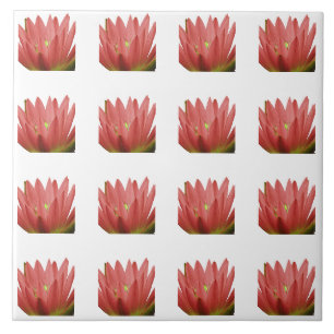 Azulejo De Cerâmica Padrão de Tulip
