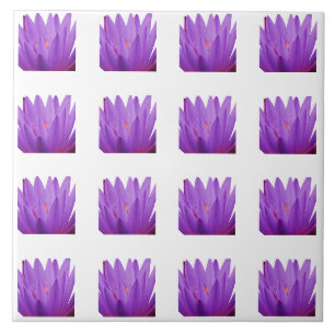 Azulejo De Cerâmica Padrão de Tulip