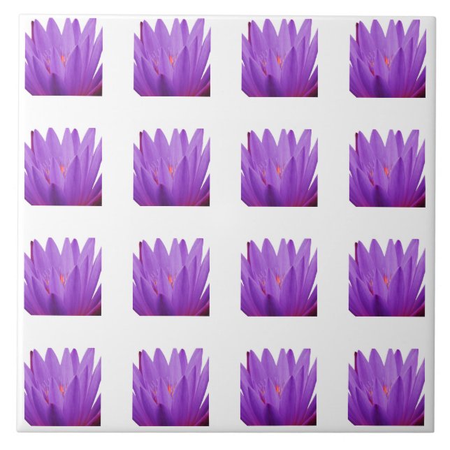 Azulejo De Cerâmica Padrão de Tulip (Frente)