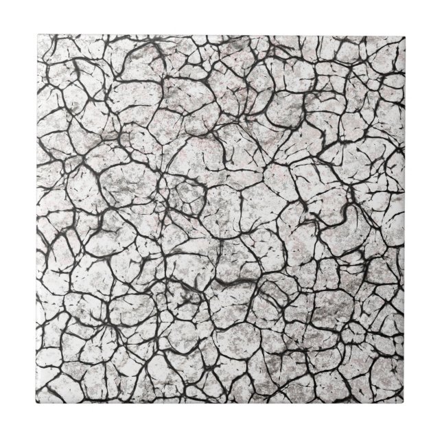 Azulejo De Cerâmica Padrão Digital de Mármore Rachado (Frente)