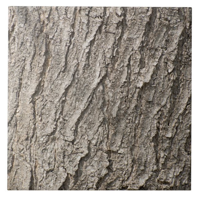 Azulejo De Cerâmica padrão do latido (Frente)