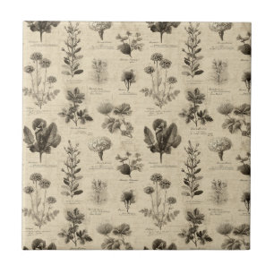 Azulejo De Cerâmica Padrão Floral Botânico Vintage (11)