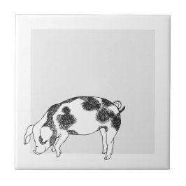 Azulejo De Cerâmica Padrão Minimalista de Linha de Porco Cottagecore V