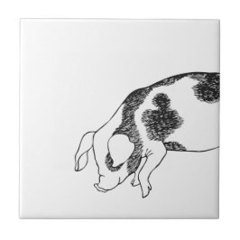 Azulejo De Cerâmica Padrão Minimalista de Linha de Porco Cottagecore V