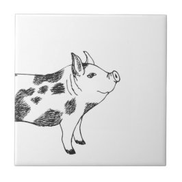 Azulejo De Cerâmica Padrão Minimalista de Linha de Porco Cottagecore V