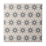 Azulejo De Cerâmica Padrão moderno do médio século de estoque de prata<br><div class="desc">design de inspiração moderna do século médio com padrão de estouro retrorado prateado. Design simples e limpo moderno. Um design de uma coleção coordenadora. Crie seu próprio padrão personalizado carregando uma nova imagem ou use o botão "mensagem" para entrar em contato com o designer para obter ajuda. Para criar seu...</div>