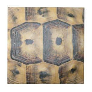 Azulejo De Cerâmica Padrão Tortoise Shell