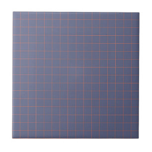 Azulejo De Cerâmica Padrão Verificado de Azul e Terracotta do Marinho
