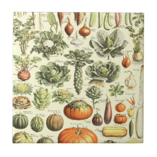 Azulejo De Cerâmica Padrão Vintage Cream Vegetables