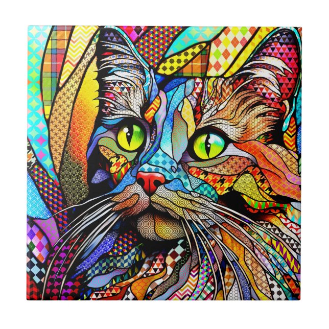 Azulejo De Cerâmica Padrões Cat 711 de multicores (Frente)