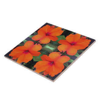 Azulejo De Cerâmica Padrões de Flor de Impatiens